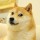Dogecoin Avatar