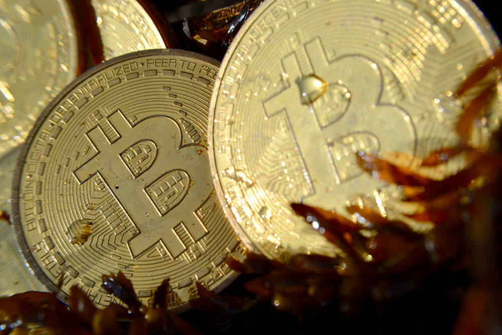 LBN Unconfirmed Bitcoin Transactions