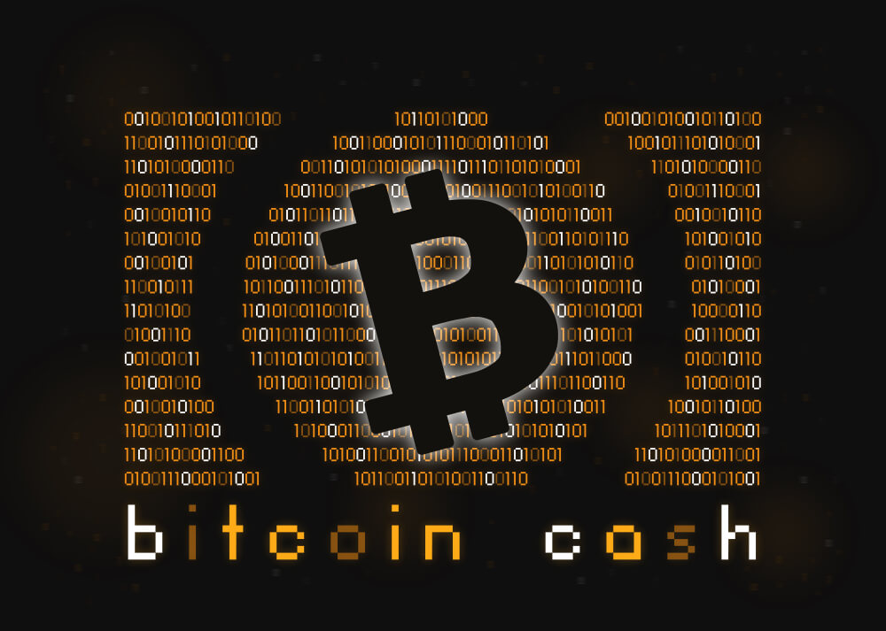 LBN Erik Voorhees Bitcoin Cash