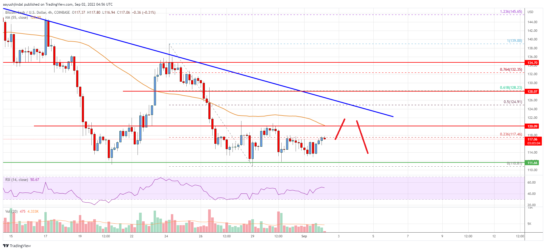 Bitcoin Cash Price