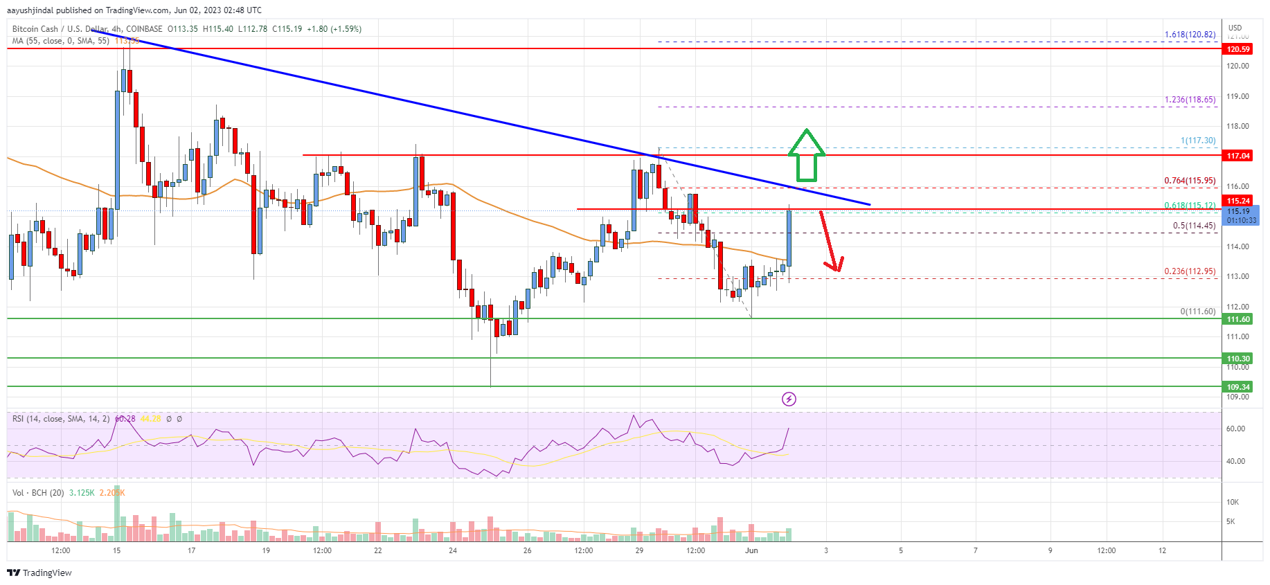 Bitcoin Cash Price