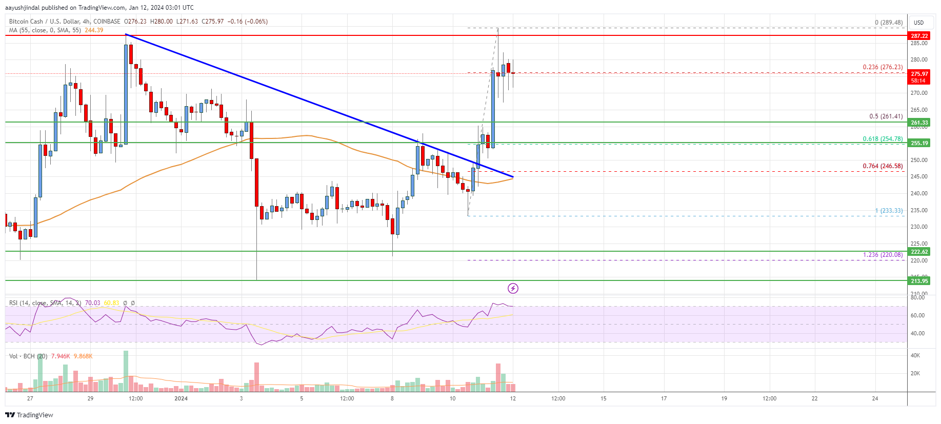Bitcoin Cash Price