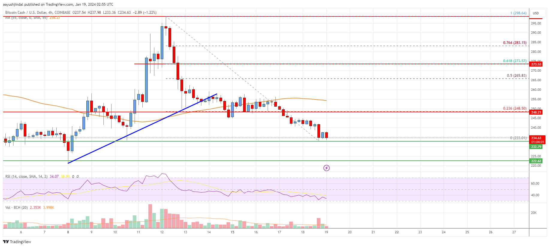 Bitcoin Cash Price