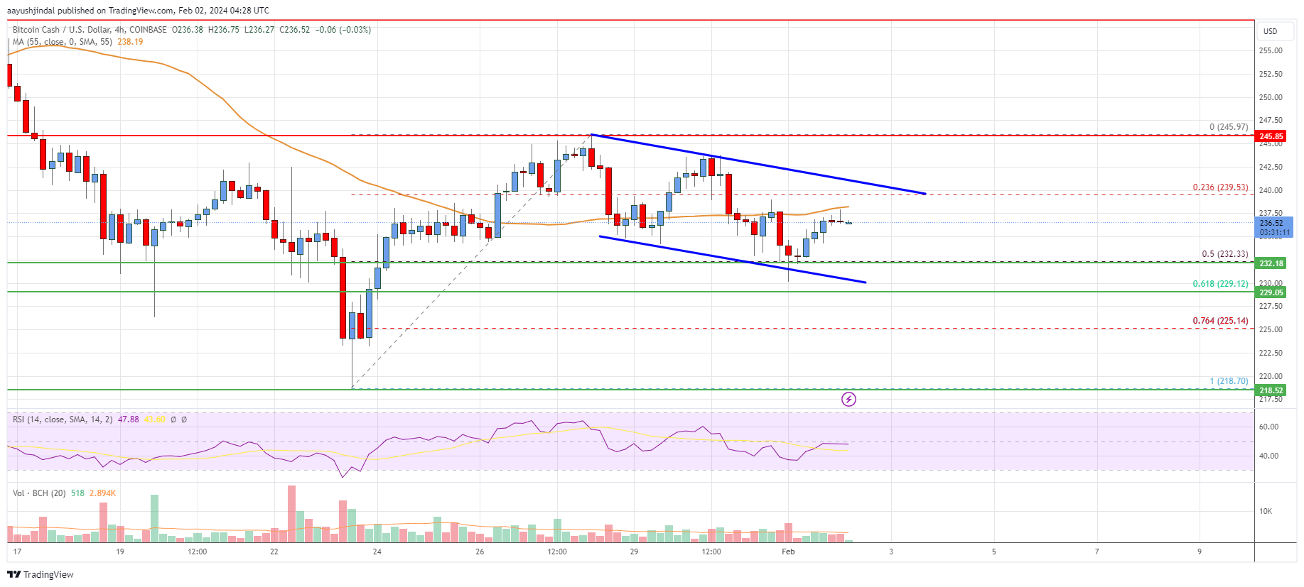 Bitcoin Cash Analysis: Dips Could Be Supported Near $230