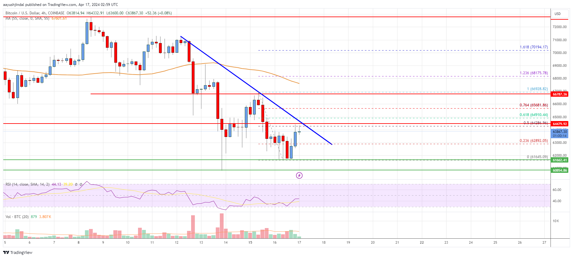 Bitcoin Price Analysis: BTC Takes Hit, Can This Support Hold?