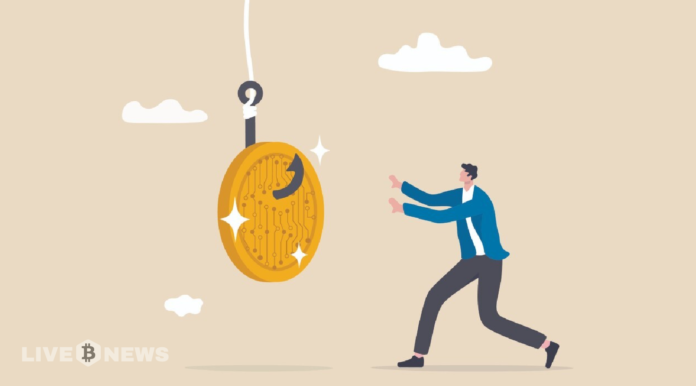 Phishing scams cause $127 million worth losses