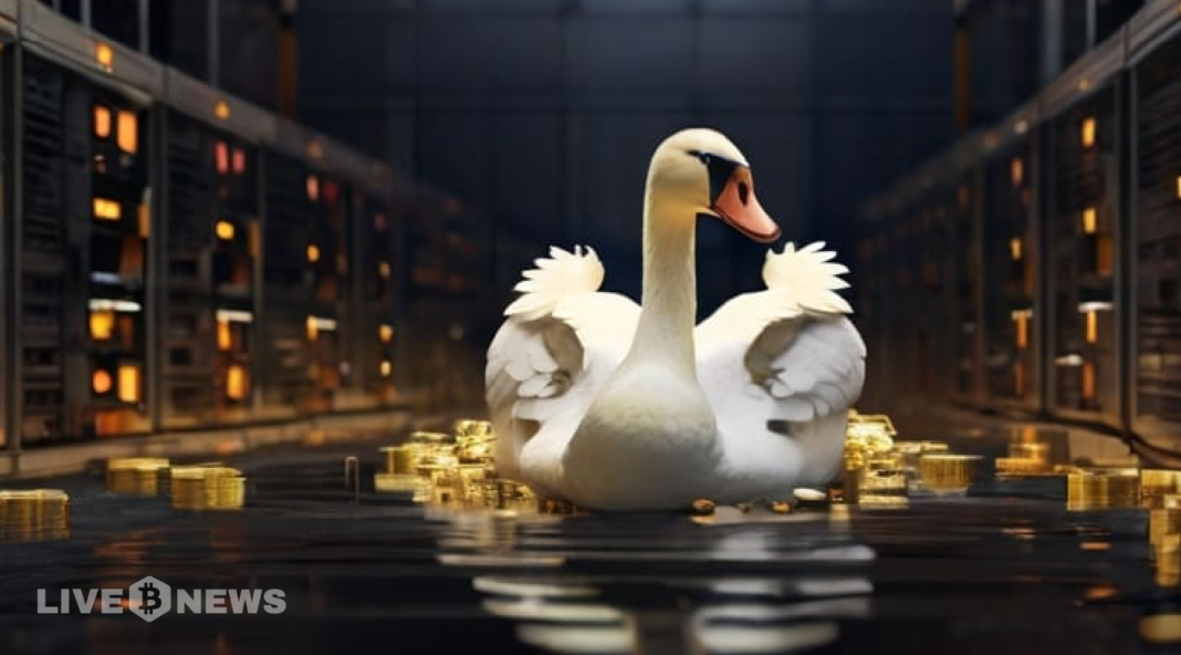 Proton Management vs Swan Bitcoin