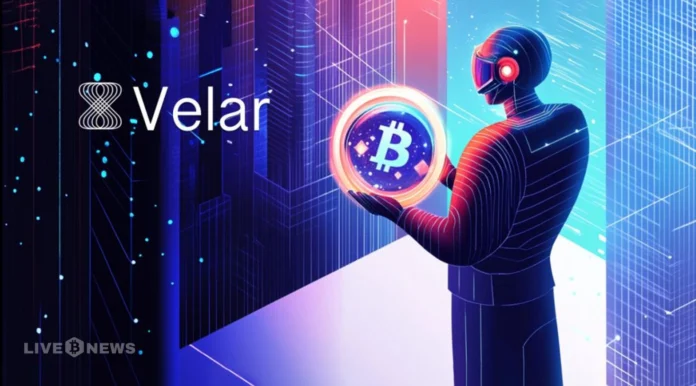 Velar Launches Dot BTC Name Grant for Digital Identity