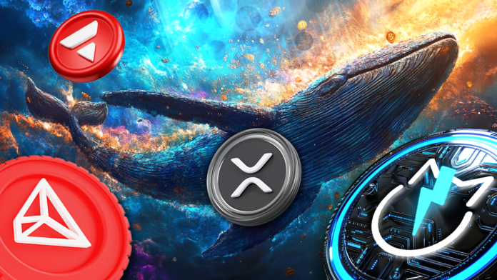 Best Crypto Today - Top Altcoins Crypto Whales Are Crazy About: XRP, AVAX, TRON, and JetBolt