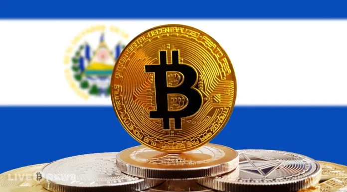 El Salvador Buys 5 BTC in a Single Day Despite IMF Pressure