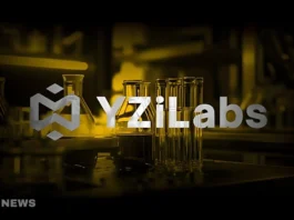 YZi Labs Invests in Tensorplex to Drive Decentralized AI Innovation