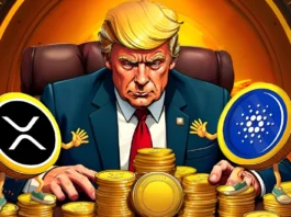 ZachXBT Questions ADA and XRP as Trump Backs Crypto