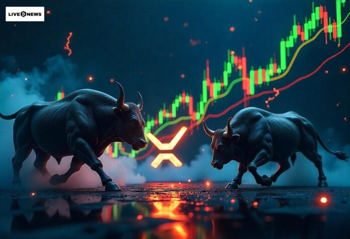 XRP Whales Stir - Massive Rally Ahead?