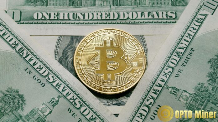 Seizing the Bitcoin Increase: OPTO Leads Cryptocurrency Innovation and Earns ,700 a Day Seizing the Bitcoin Increase: OPTO Leads Cryptocurrency Innovation and Earns ,700 a Day