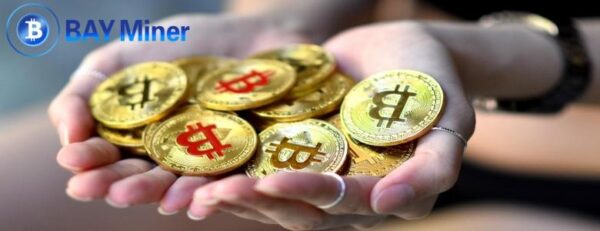 Bitcoin (BTC) earnings outstrip stocks as holders earn ,000 a day with BAY Miner