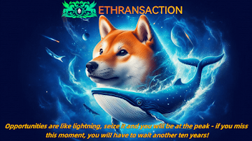 Whales earn ,824 a day by mining Dogecoin with ETHRANSACTION
