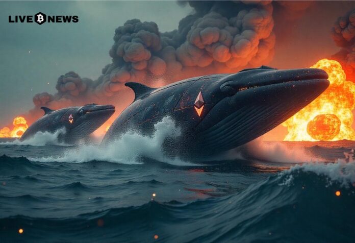 Ether Whales Open $100M Leveraged Positions Following US Strikes