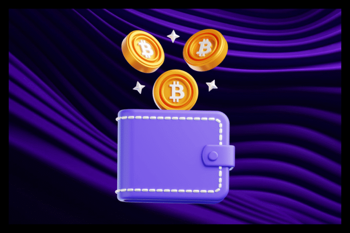 Hot Wallets for Enterprises: Secure Crypto Transactions Without Sacrificing Agility