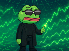 Neo Pepe Coin Among 2025’s Top 3 Bull Market Picks Taking on SHIB