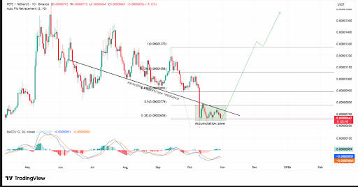 Pepe Coin shows potential breakout from accumulation zone, signals rally. Source- TradingView