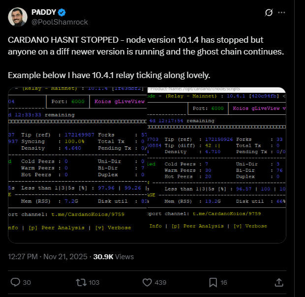 Cardano Price Prediction: Cardano Network Block Production Slows, ADA Nears Crucial $0.30 Support
