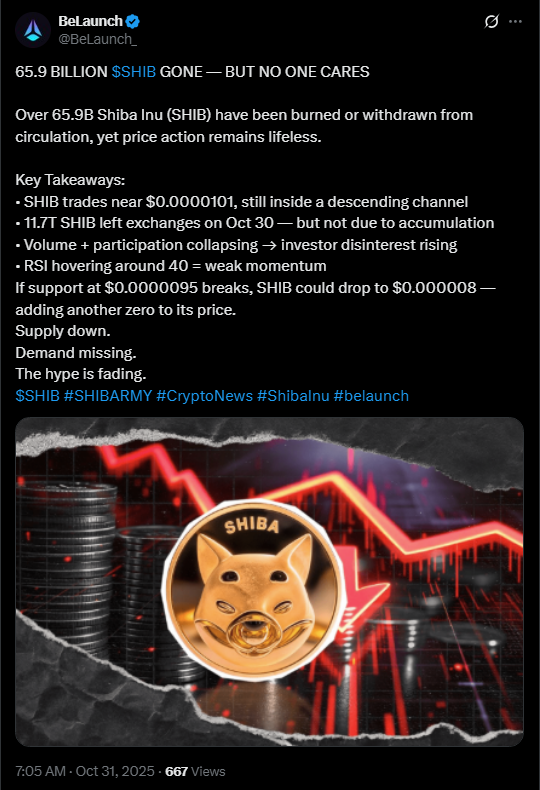 SHIB News: SHIB Supply Shrinks by 8 Million After First Shiba Inu ETF Sparks Market Buzz