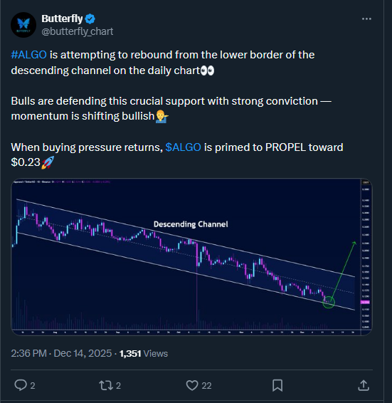 ALGO Price Alert: Bulls Fight Back at Critical Support