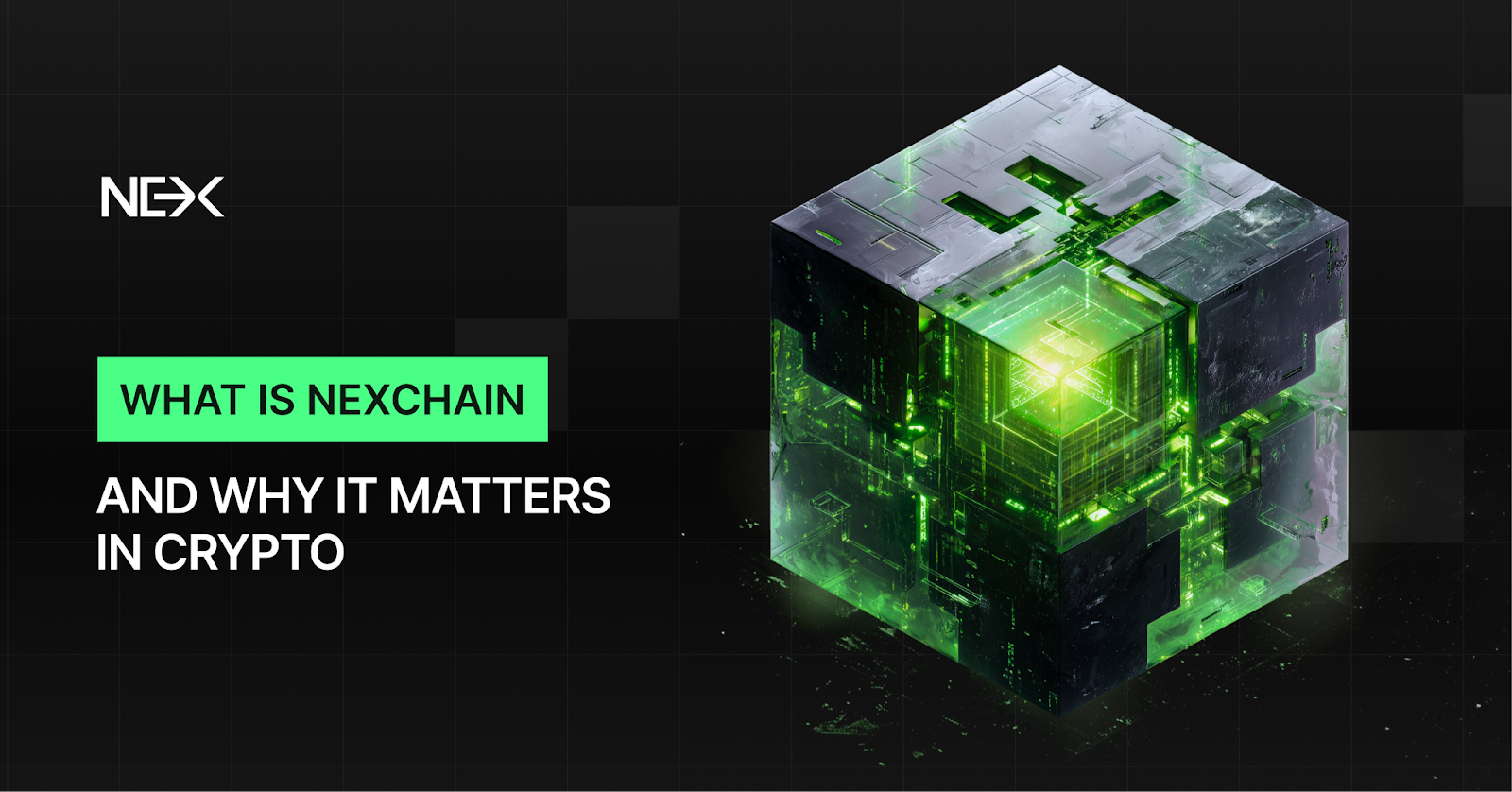 Nexchain’s AI Network Enters High-Activity Phase as Stage 29 Approaches Final Allocation