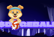 Missed Out On $TRUMP? Don’t Miss Out On The Next 1000x Meme Coin! Whitelist Now Open