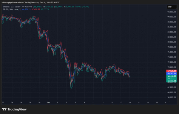 Bitcoin Price Performance