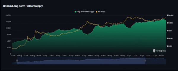 Bitcoin Long Term Holders