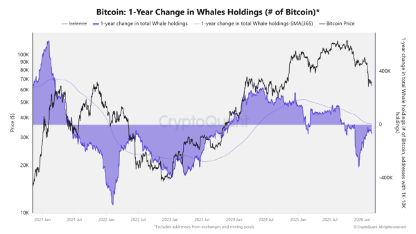 Bitcoin One-Year Change in Whale Holdings