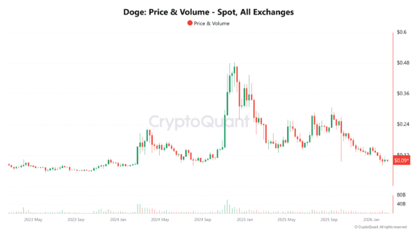 DOGE Spot Activity