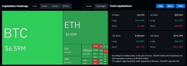 Crypto Liquidation Data