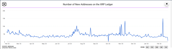 New XRP Addresses
