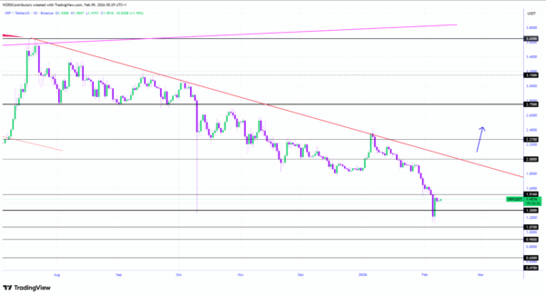 XRP Faces Key Test at Daily Resistance Before Bullish Turn