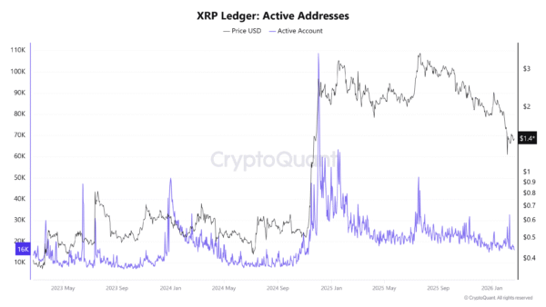 XRP Ledger Active Addresses