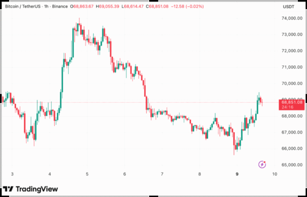 Bitcoin rebounds toward $69K after recent drop