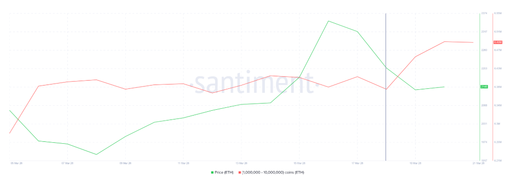 Ethereum Whale Holdings