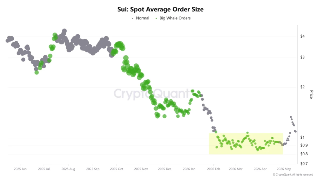 SUI Whales Are Buying the Dip in Silence. Here Is What the Data Shows