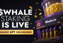 Whale.io Launches Whale Printer: $WHALE Token Staking